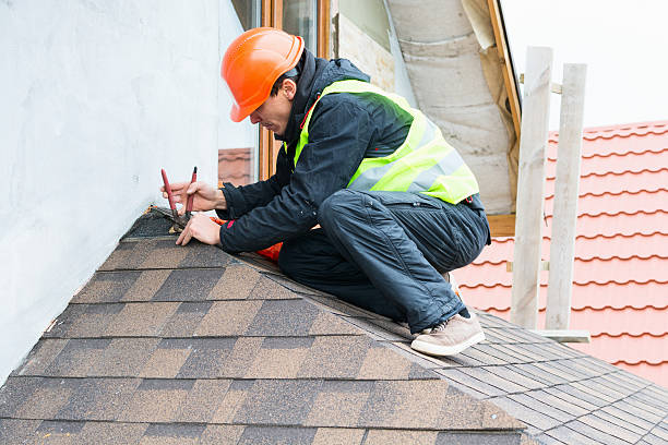 Gutter Installation and Roofing in Cologne, MN